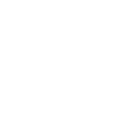 Phoenix Fire and Security Glasgow - Speed Gates icon